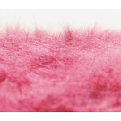 Liset Van Der Scheer Extase Carpet