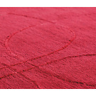 Liset van der Scheer and Marie MeesRaja Carpet