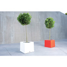 Dirk Wynants Alea Flowerpot