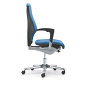Walser Design  Giroflex 64 Chairs