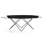 Xi Zhang and Erich Diserens Wove Table