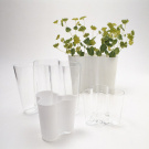 Alvar Aalto Glass Pot