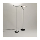 Ernesto Gismondi Zen Terra Lamp