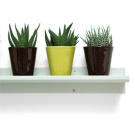 Gus Modern Picture Rail