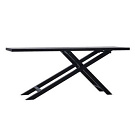 Frans van der Heyden Board Console Table