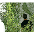 Ronan & Erwan Bouroullec Algue