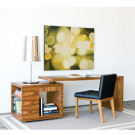 Vioski James Desk